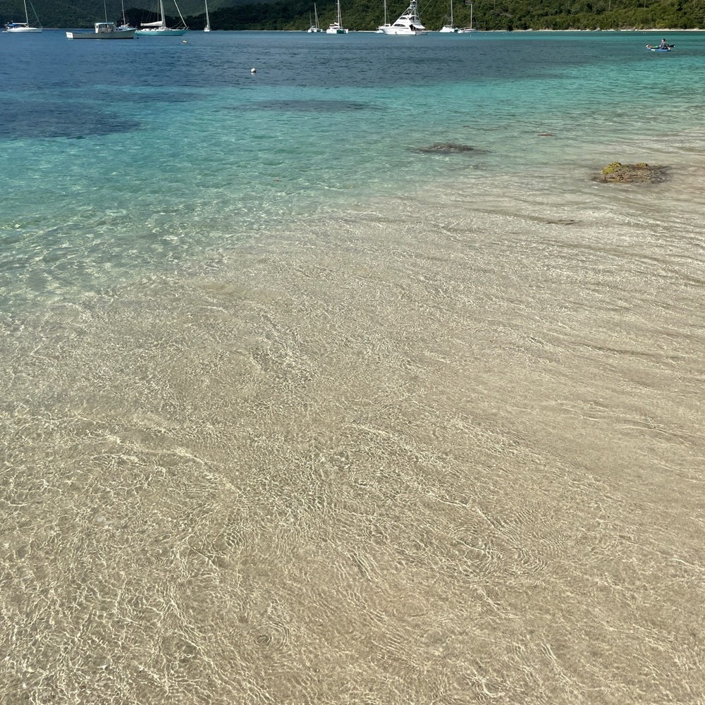 Meet your Posher, Tarah